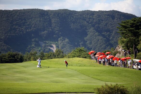 Economy Tee Offs: Discover Cost-Effective 9 Hole Golf Gems