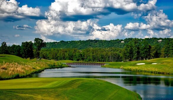 Unlock Your Game: Prime Golf Balls Suited for New Players
